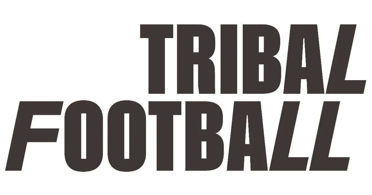 Логотип Tribal Football Логотип Tribal Football